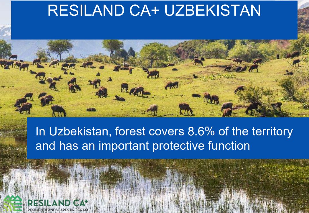 Resiland CA+ Uzbek