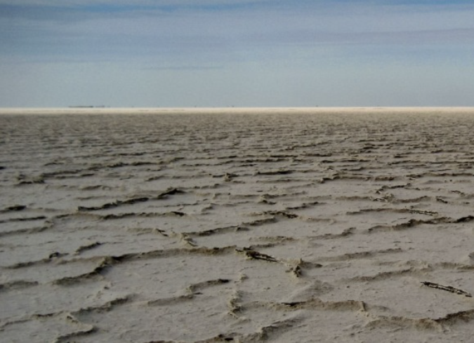 Landscape Restoration