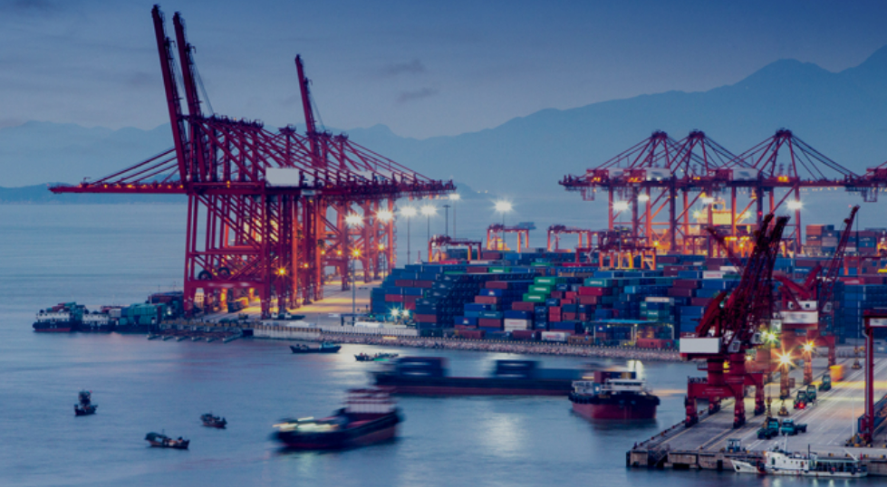 World development report