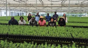 A Forest Economy for the Future: Ghana’s Lessons from Korea