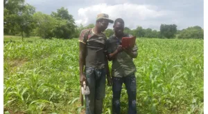 How Korea’s Partnership and Digital Tools Are Transforming Agriculture in Kenya