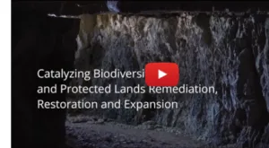 From Mines to Miracles: South Africa’s Green Transformation Inspired by Korea From Mines to Miracles: South Africa’s Green Transformation Inspired by Korea