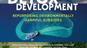 [Report] Grant Output: Detox Development: Repurposing Environmentally Harmful Subsidies